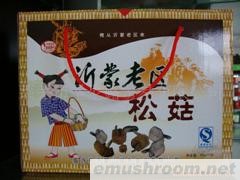 供应沂蒙老区土特产山珍系列松菇