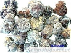 供应野生菌-松露