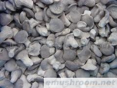 供应速冻小平菇