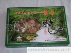 供应猴头菇