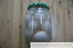 供应竹荪蛋罐头.竹荪.四川土特产