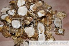 供应干竹荪蛋片，竹荪。四川土特产