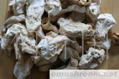 供应竹荪胎盘。竹燕窝。四川土特产