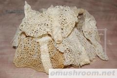 供应干竹荪。竹笋。四川土特产