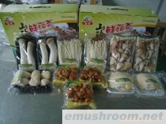 批发供应鲜菇，菌菇礼盒(图)