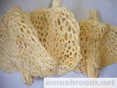 供应蜀南竹海土特产长裙竹荪