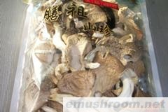 供应真姬菇