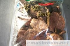 供应红乳牛肝菌