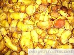 供应云南野生菌白葱菌冻货