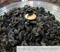 供应东北特产东北碗装黑木耳
