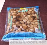 供应草菇