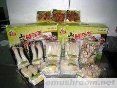批发供应食用菌，鲜菇1箱起批(图)