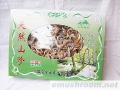 供应优级农家土特产鸡腿菇