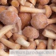 供应冷冻滑子蘑