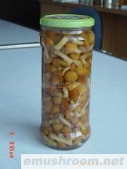 供应罐头滑子蘑(图)