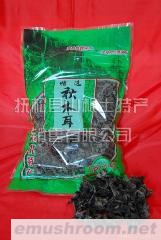 供应木段秋黑木耳