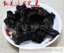 东北优质黑木耳特价月销300斤(图)