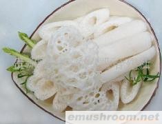 供应大量的贵州竹荪代理竹荪年赚百万(图)