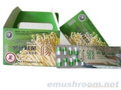 供应金针菇菌