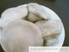 供应盐渍白灵菇