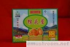 供应压缩猴头蘑