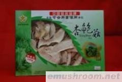供应杏鲍菇