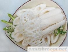 供应大量的贵州竹荪代理竹荪年赚百万(图)