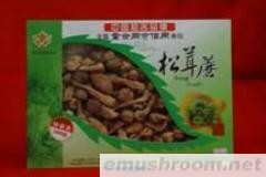 供应松茸蘑