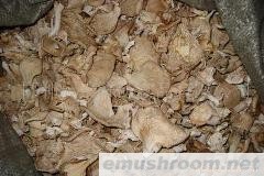 供应Manbetx体育手机版V17版本发布.官网安卓网.香港