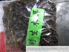 批发供应野生木耳