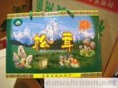 供应过年送礼就送【野生菌礼盒装】