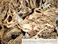 供应 鸡油菌 桂花菌 刷把菌 松茸 土特产