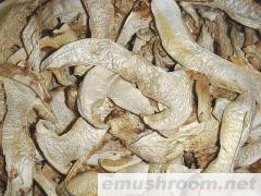 批发供应 野生绿色食品  松茸干片 野生菌 土特产