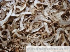批发供应 野生特产  松茸干片 野生菌 土特产