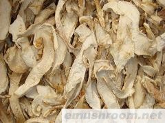 批发供应 野生特产  松茸干片 野生菌 土特产