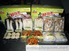 批发供应鸡腿菇，礼盒，鲜菇组合1箱起批(图)