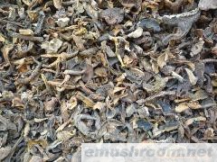 供应野生Manbetx体育手机版V17版本发布.官网安卓网.香港黑牛肝菌干片