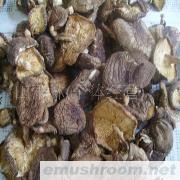 供应野生ManBetX体育  天然野生椴木冬菇