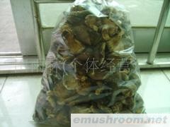 供应绿色食品  野生椴木冬菇(菇头)
