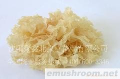 圣春牌有机银耳（干品）