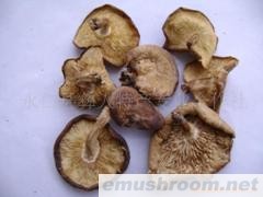 纯天然野生香菇