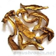 可小额批发 野生干品黄牛肝菌 产地云南 大量现货