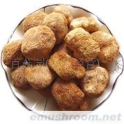 可小额批发 供应福建干品猴头菇