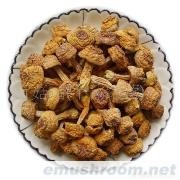 小额批发 供应武夷山Manbetx体育手机版V17版本发布.官网安卓网.香港 特级 姬松茸 巴西菇