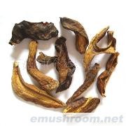 小额批发 Manbetx体育手机版V17版本发布.官网安卓网.香港专卖 供应野生黑牛肝菌