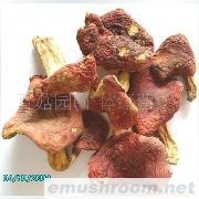 小额批发 供应武夷山 野生红菇