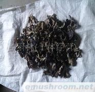 供应黑木耳  野生椴木黑木耳