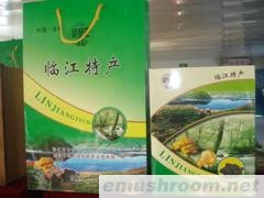 大量供应优质木耳、蘑菇、各种长白山坚果