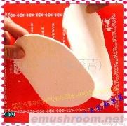 小额批发 供应云南特级 白茯苓片