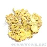 小额批发 供应大量 黄金菇 玉皇蘑 榆黄蘑